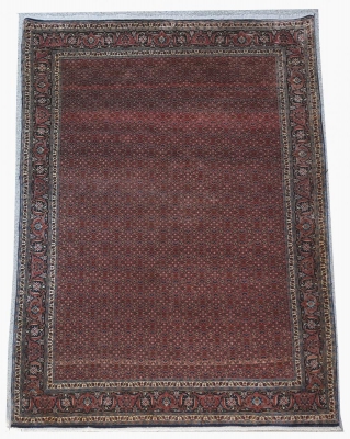 Grand Tapis Bidjar Véritable Iranien Perse -vers 1960 Époque Du Shah